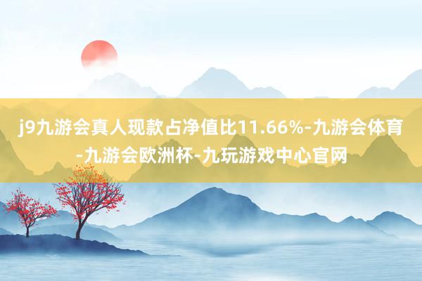 j9九游会真人现款占净值比11.66%-九游会体育-九游会欧洲杯-九玩游戏中心官网