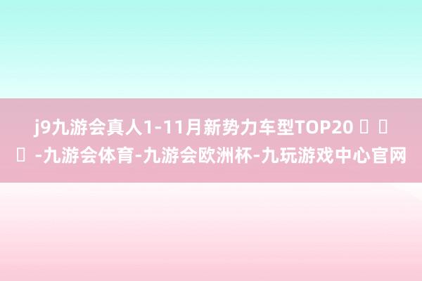 j9九游会真人1-11月新势力车型TOP20 ​​​-九游会体育-九游会欧洲杯-九玩游戏中心官网