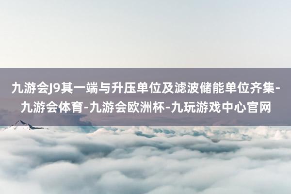 九游会J9其一端与升压单位及滤波储能单位齐集-九游会体育-九游会欧洲杯-九玩游戏中心官网